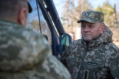 Valery Zaluzhny: Revered Commander At Odds With Zelensky