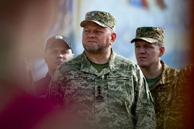 Ukraine Army Chief Zaluzhny Removed From Post