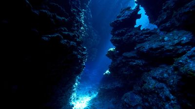 Colossal underwater canyon discovered near seamount deep in the Mediterranean Sea