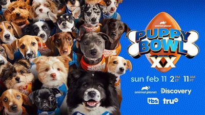 Warner Bros. Discovery Nets Unleash Super Bowl Sunday Programming for Those Who Don’t Like Football