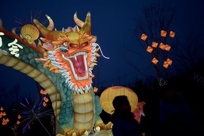 Auspicious but unlucky: The perils of a lunar new year dragon baby boom