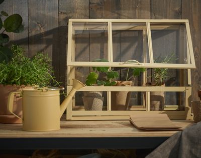 This New IKEA 'Mini-Greenhouse' is What Every Beginner Gardener Needs to Start Out Their Spring Seeds