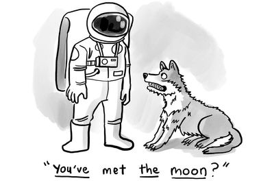 30 Humorous One-Panel Comics By Jason Adam Katzenstein For Your Daily Dose Of Laughter