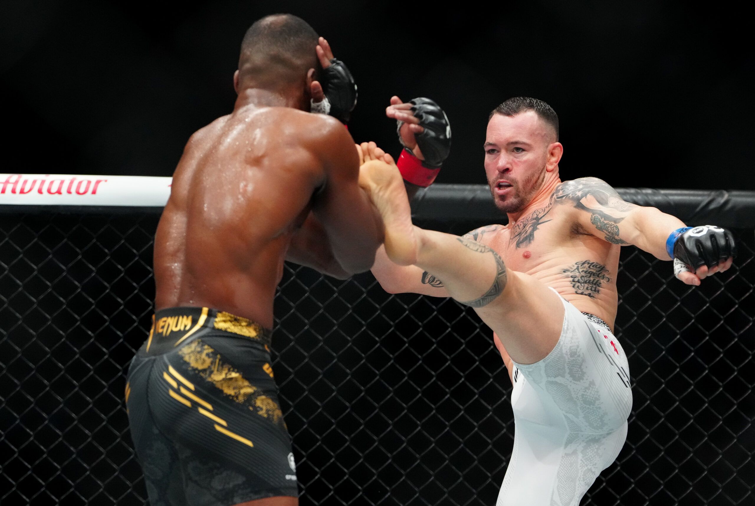 Unbelievable Mma News: Sean O'Malley, Colby Covington, Gilbert Burns – What Happened?! - dxuca3w