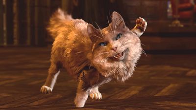 Baldur's Gate 3 player spends 41 hours beating the RPG as 4 cats, murdering NPCs with cuteness and breaking half of the cutscenes