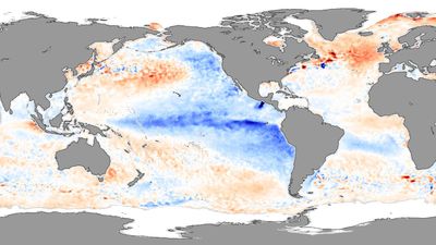 Global warming’s patterns are more important than its levels | Explained