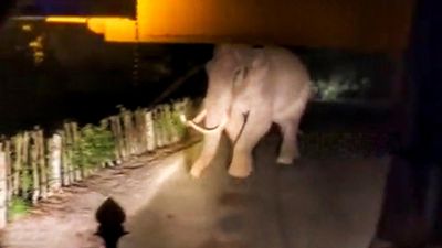 Irate residents block roads after radio-collared wild elephant trampled a passerby to death in Wayanad