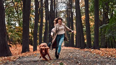 Three mind-blowingly simple (and tested) ways to stop leash pulling, according to an expert behaviorist