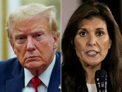 Haley Slams Trump for Mocking Her Military Husband's Absence