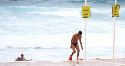 Swamped baths and dangerous swells test the skills of brave beachgoers