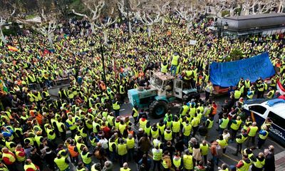 ‘They’re drowning us in regulations’: how Europe’s furious farmers took on Brussels and won