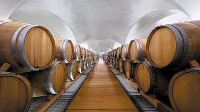 Tour Feudi di San Gregorio, a vineyard in Campania, Italy, where wine meets design