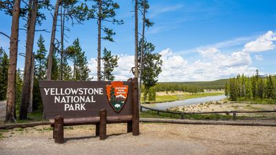 10 big mistakes people make when visiting Yellowstone National Park