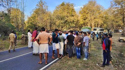 Operation to capture Belur Makhna, the elephant that trampled a man to death in Wayanad, proves futile