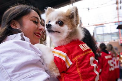 Will the Chiefs or the 49ers win the Super Bowl? The animal kingdom weighs in