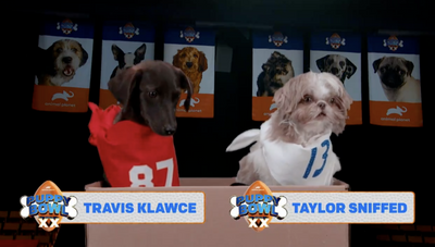 Puppies dressed as Taylor Swift and Travis Kelce at the Puppy Bowl were too cute