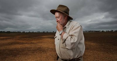Councils band together as drought holds Hunter in its grip