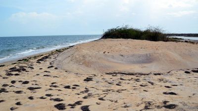 Beach sand mining cases | Madras High Court to commence final hearing from March 11