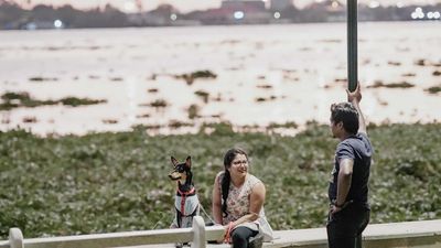 Services and facilities for dogs and dog parents are booming in Kochi
