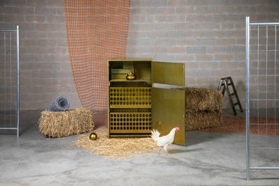 Artist-designed chicken coops for urban homes