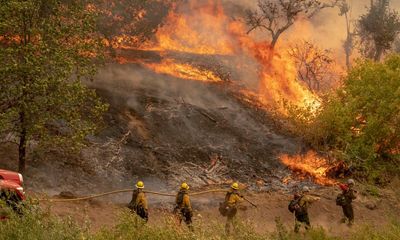 Couple pleads guilty over gender reveal party that sparked California wildfire