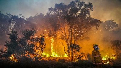 Homes lost and firefighters injured as bushfires rage