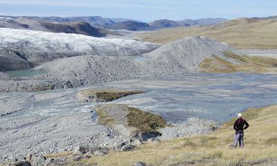 Climate experts sound alarm over thriving plant life at Greenland ice sheet