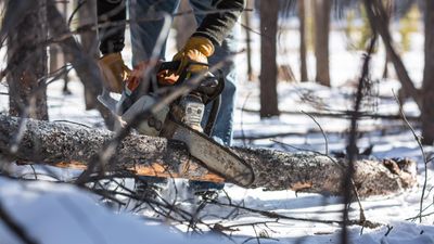 8 tips on how to use a chainsaw in winter, with expert advice