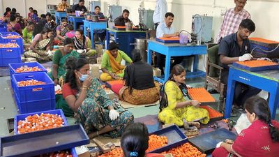 As Lok Sabha polls near, Mysuru factory gets order for 26.5 lakh vials of indelible ink