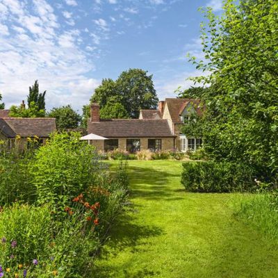 Can you cut the grass in February? You can, but it comes with a warning