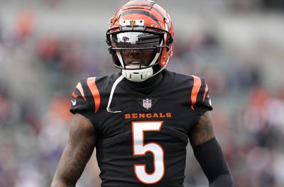 Bengals expected to use franchise tag on WR Tee Higgins