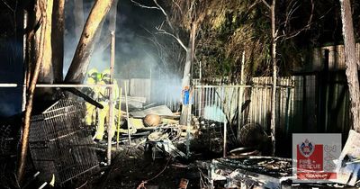Backyard blaze threatens neighbouring homes at Cessnock overnight