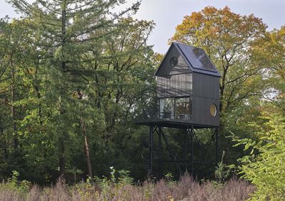 A nest house in the Netherlands immerses residents in nature