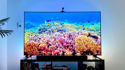 I just reviewed the TCL Q6 — here’s how this budget QLED TV stacks up