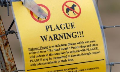 A case of bubonic plague was reported in Oregon. Here’s what to know