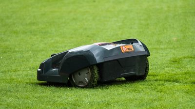 8 mistakes to avoid when buying a robot lawn mower