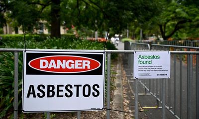 Asbestos in Sydney mulch: what are the regulations and should they be tougher?