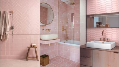 What is pink mold and how do you get rid of it? We ask the specialists