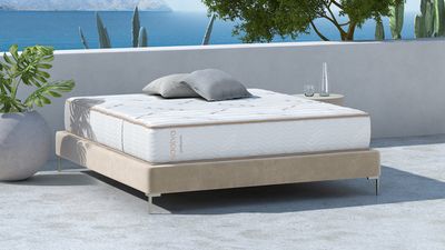 Should you buy the Saatva Zenhaven mattress in Presidents' Day sales? I'm a sleep writer – here's my take