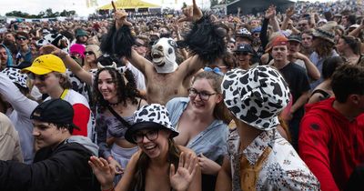 Groovin the Moo canned: Greens MP slams 'over-the-top' rules