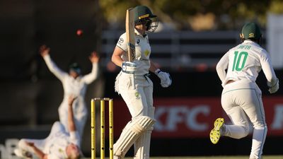 Healy out for 99 as Australia dominate South Africa