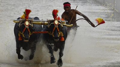 Daily Quiz | On traditional games