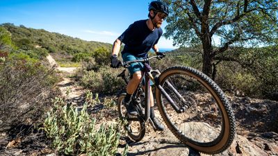 Are you using the best MTB tires for the riding you do? Here's everything you need to know to get a sorted tire setup