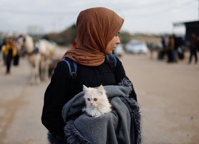 Israel’s war on Gaza: List of key events, day 132