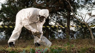'Microbiome of death' uncovered on decomposing corpses could aid forensics