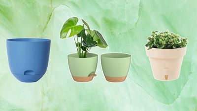 The best self-watering planters — all under $20