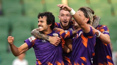 New owner wants Perth Glory to be the envy of everyone