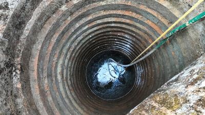 Elephant calf falls into well at Malayattoor in Kerala, later rescued