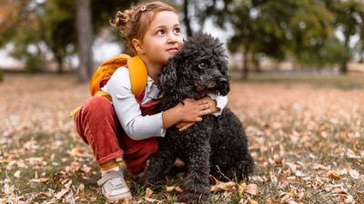 This is why it can be helpful to imagine that your dog is a toddler (yes, really!)