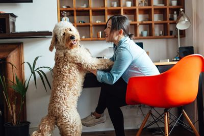 32 ways having a pet can lower your stress levels